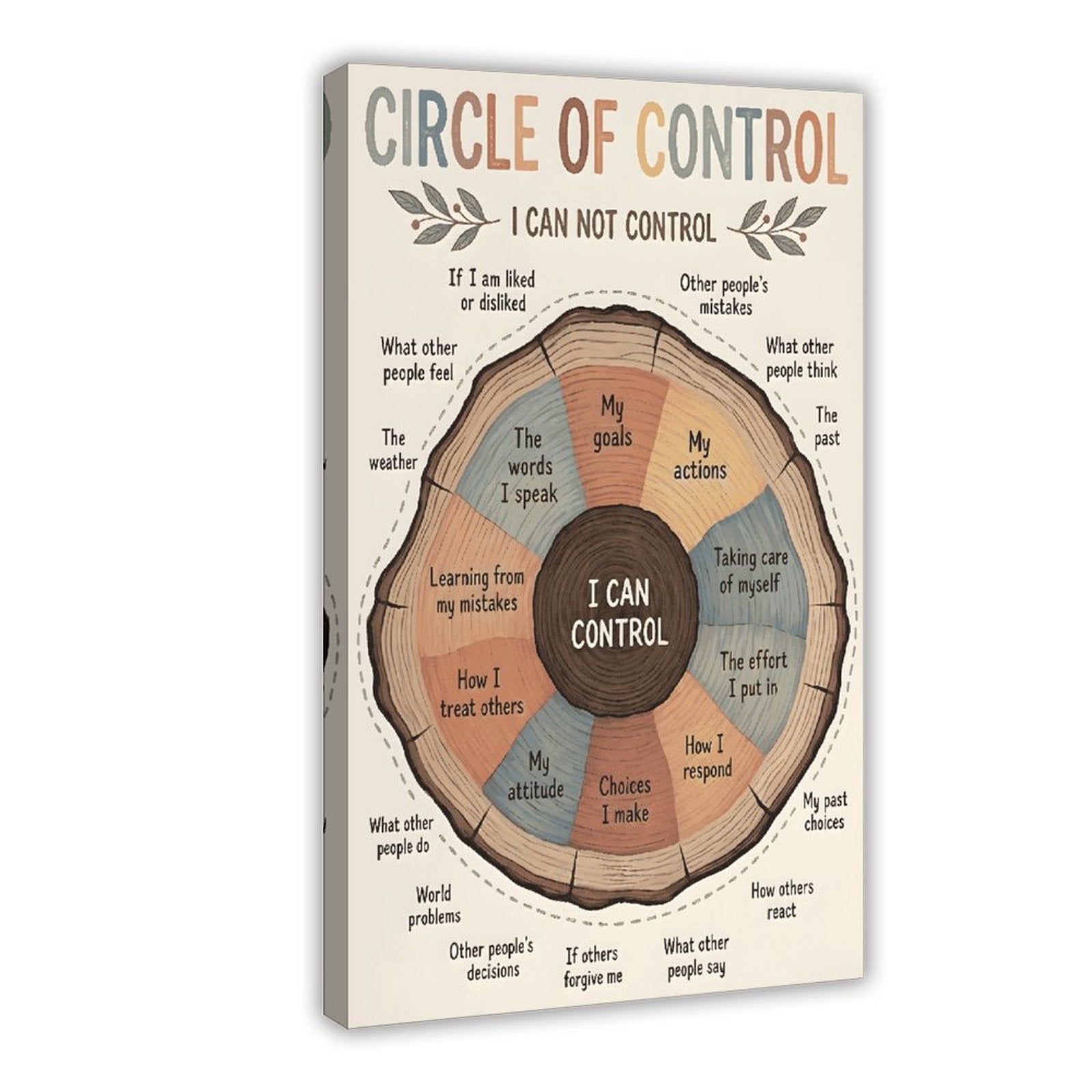 Circle of Control self-reflection infographic in infographic design style — Wrapped Canvas HERO