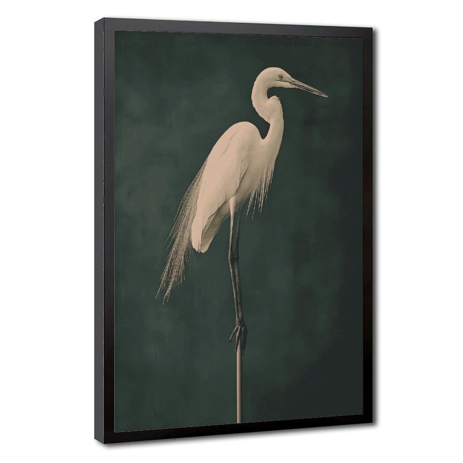 white heron standing against a deep green background in minimalist animal art style — Black Frame HERO