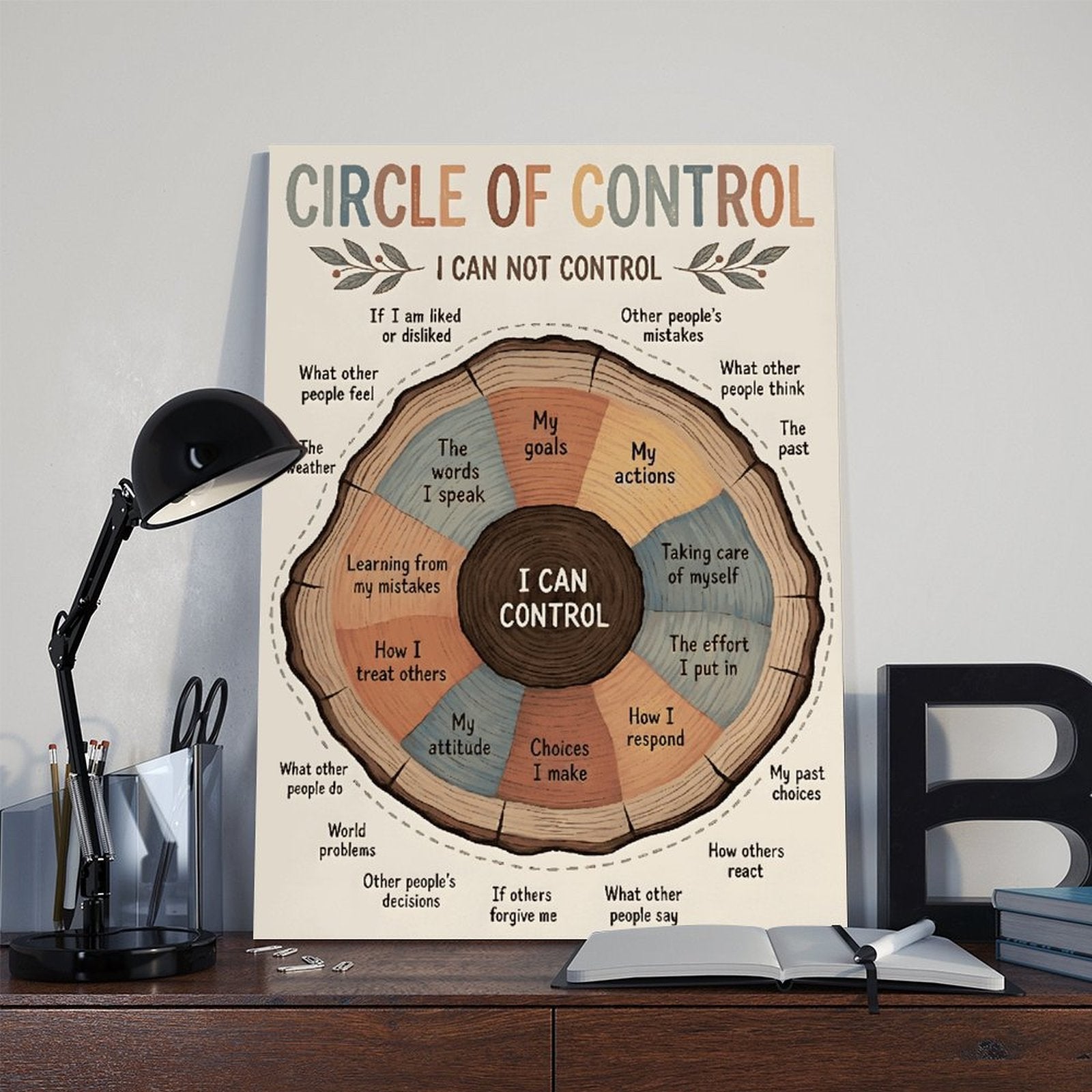 Circle of Control self-reflection infographic in infographic design style — Wrapped Canvas SCENE_06