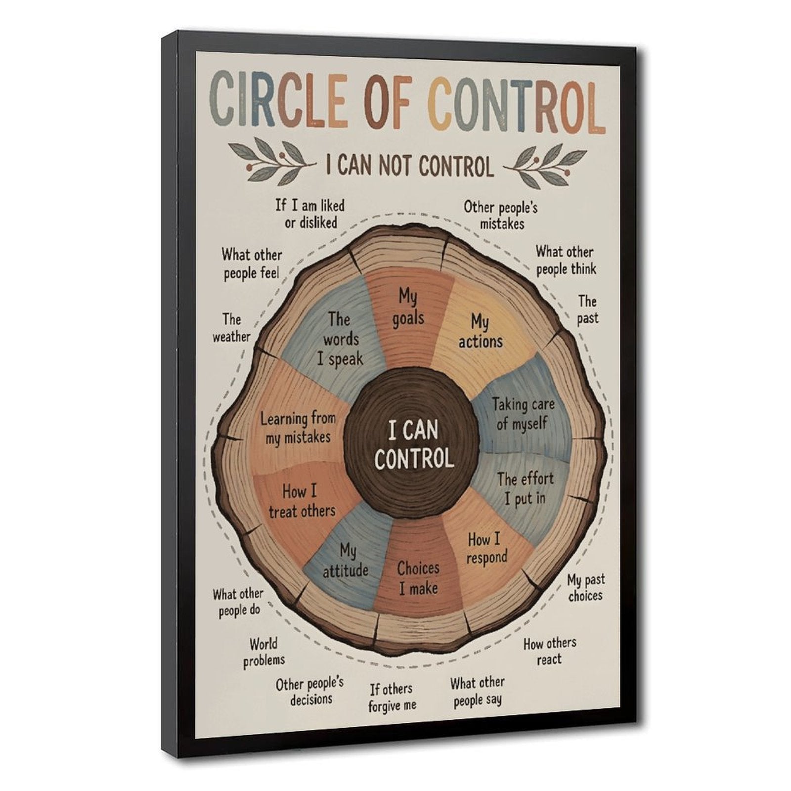 Circle of Control self-reflection infographic in infographic design style — Black Frame HERO