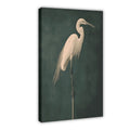 white heron standing against a deep green background in minimalist animal art style — Wrapped Canvas HERO