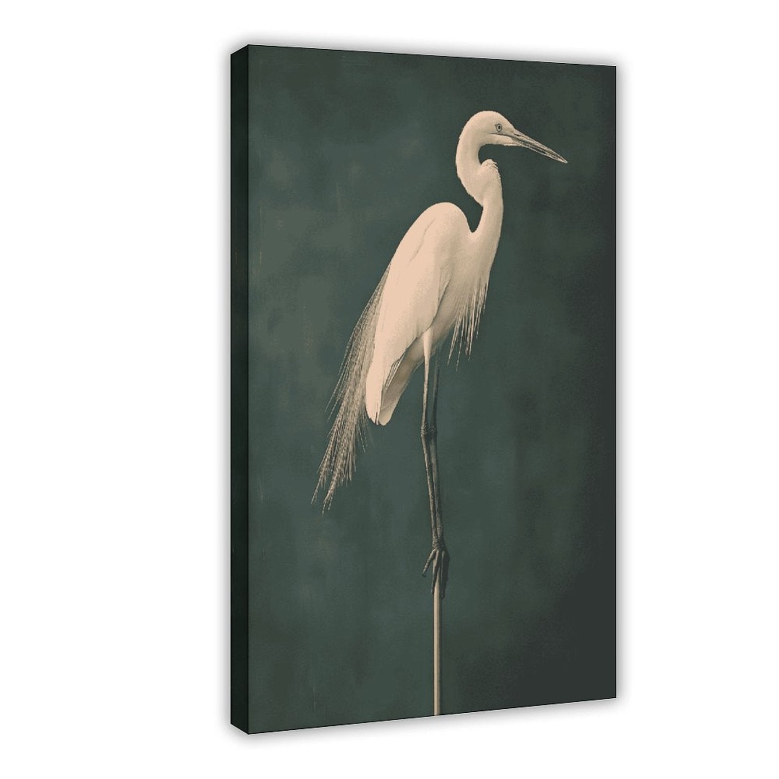 white heron standing against a deep green background in minimalist animal art style — Wrapped Canvas HERO